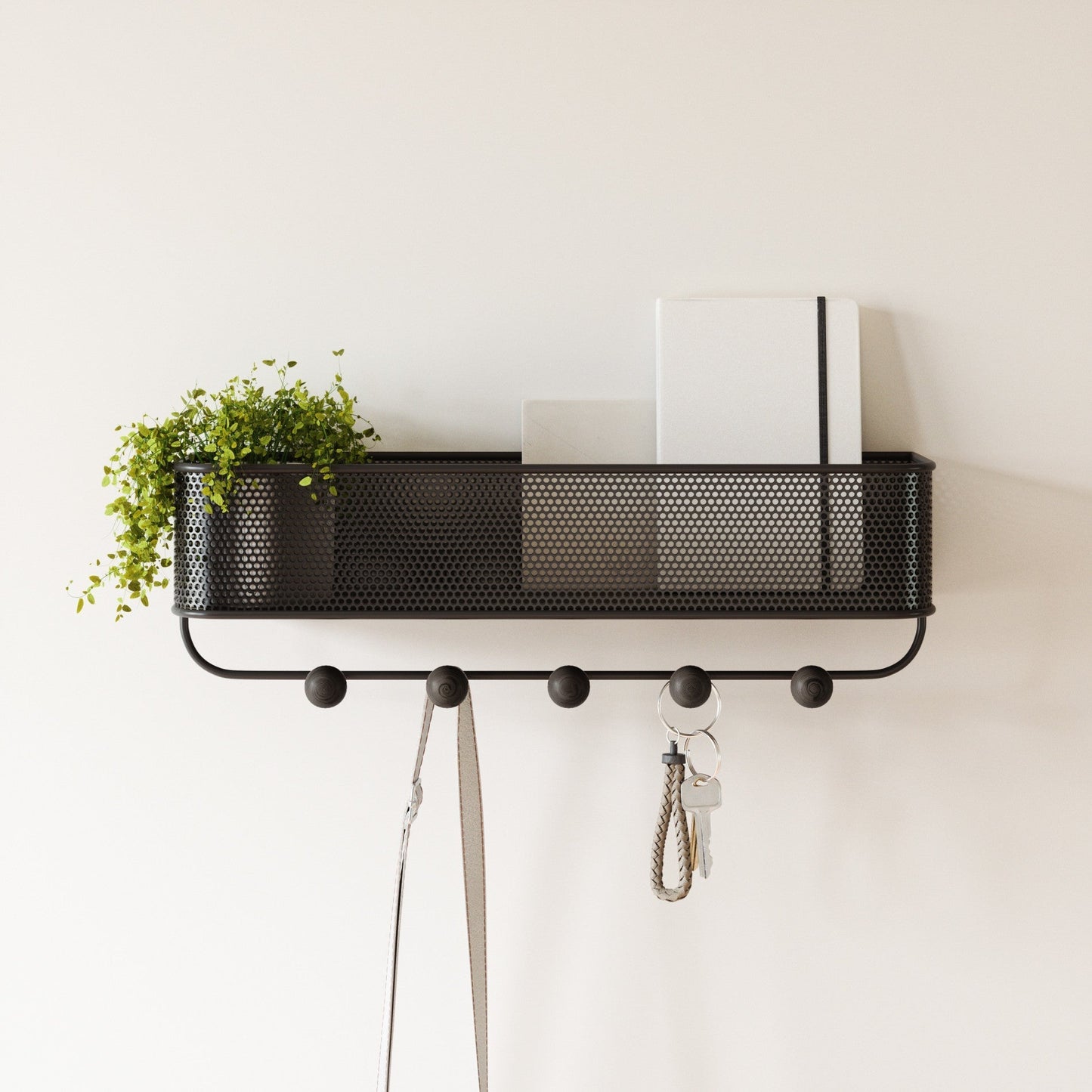 Organizer